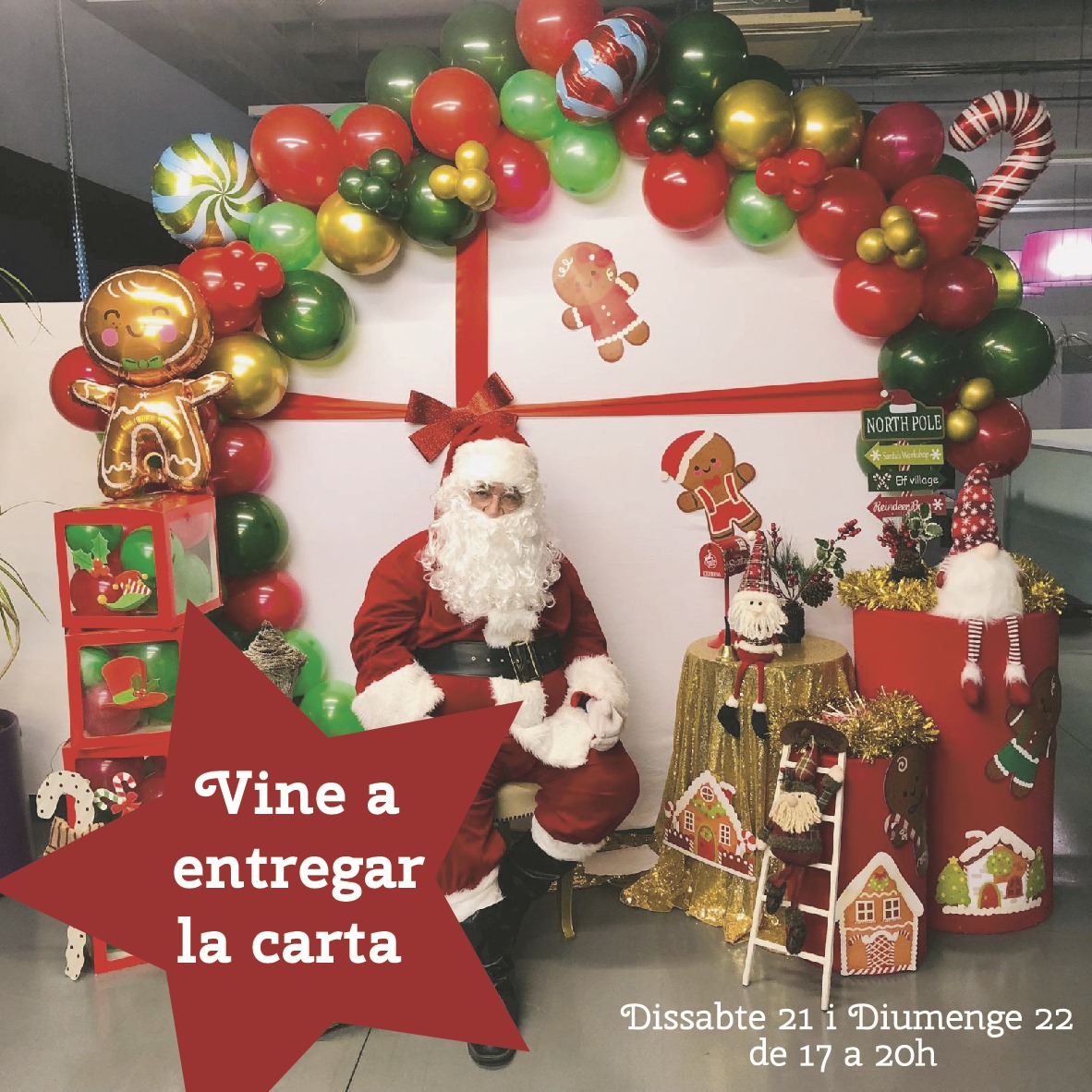 Lee más sobre el artículo Vine a entregar la carta al PARE NOEL!!